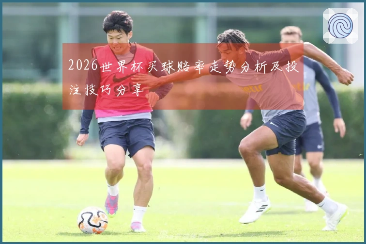 2026世界杯买球赔率走势分析及投注技巧分享
