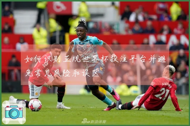 如何识别正规世界杯投注平台并避免常见风险和误区