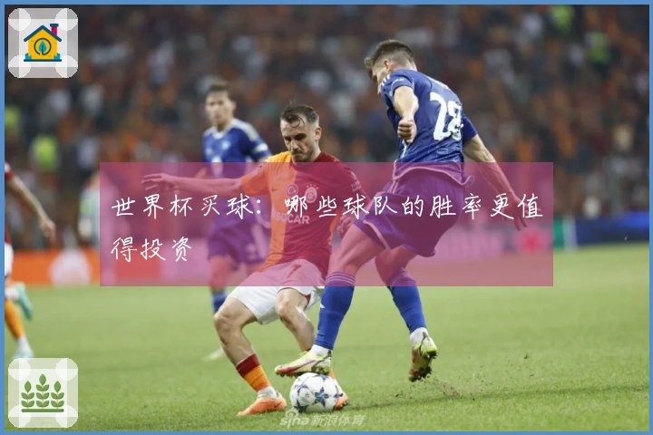 世界杯买球：哪些球队的胜率更值得投资