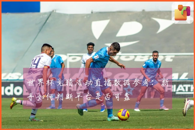 世界杯竞猜活动直播数据参考：新手如何判断平台是否可靠
