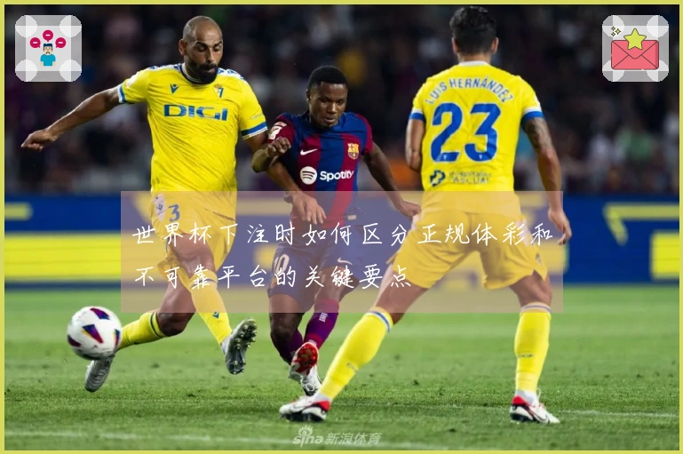 世界杯下注时如何区分正规体彩和不可靠平台的关键要点