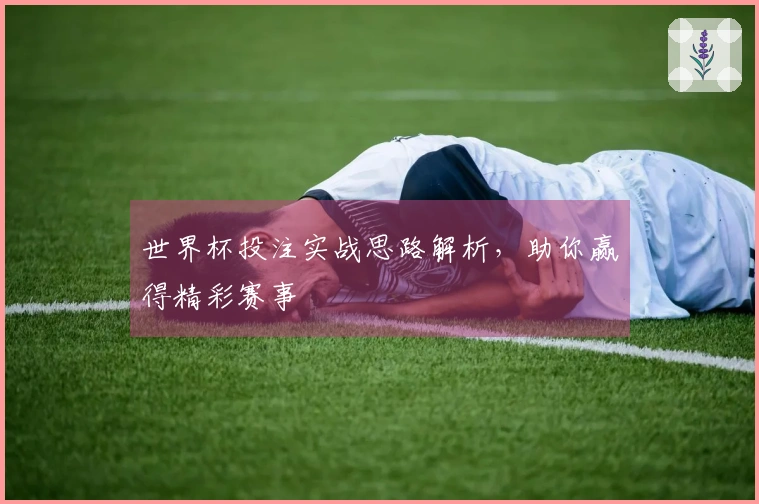 世界杯投注实战思路解析，助你赢得精彩赛事