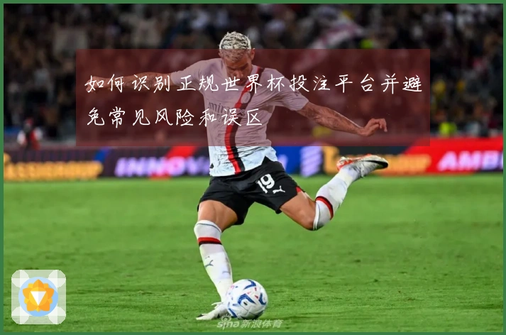 如何识别正规世界杯投注平台并避免常见风险和误区