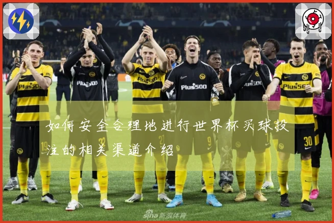 如何安全合理地进行世界杯买球投注的相关渠道介绍