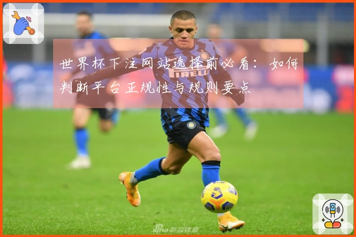 世界杯下注网站选择前必看：如何判断平台正规性与规则要点