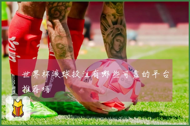 世界杯滚球投注有哪些可靠的平台推荐吗