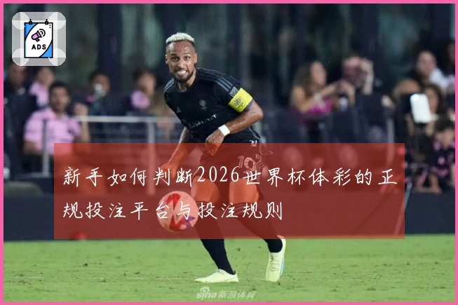 新手如何判断2026世界杯体彩的正规投注平台与投注规则