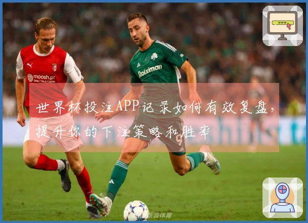 世界杯投注APP记录如何有效复盘，提升你的下注策略和胜率