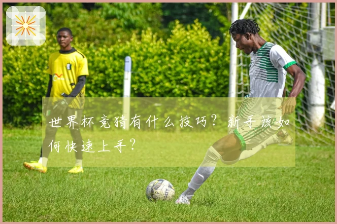 世界杯竞猜有什么技巧？新手该如何快速上手？