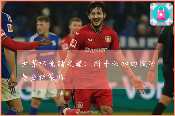 世界杯竞猜之道：新手必知的技巧与分析策略