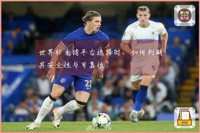 世界杯竞猜平台选择时，如何判断其安全性与可靠性？