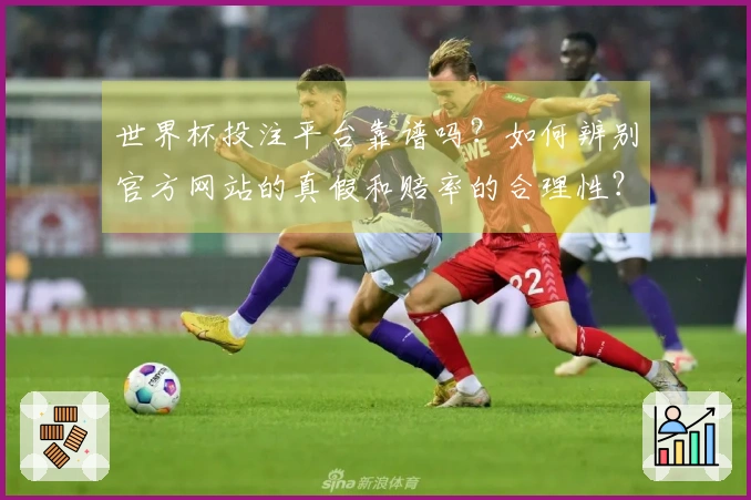 世界杯投注平台靠谱吗？如何辨别官方网站的真假和赔率的合理性？