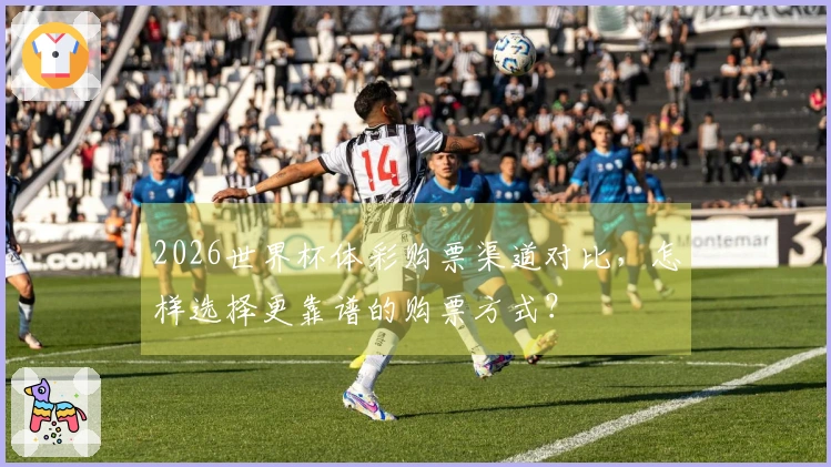 2026世界杯体彩购票渠道对比，怎样选择更靠谱的购票方式？
