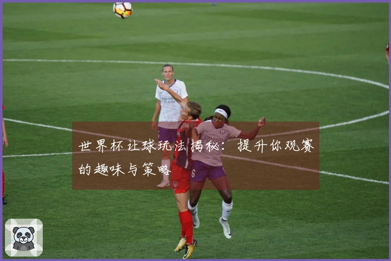 世界杯让球玩法揭秘：提升你观赛的趣味与策略