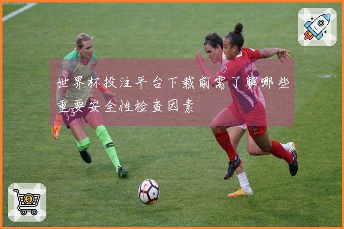 世界杯投注平台下载前需了解哪些重要安全性检查因素