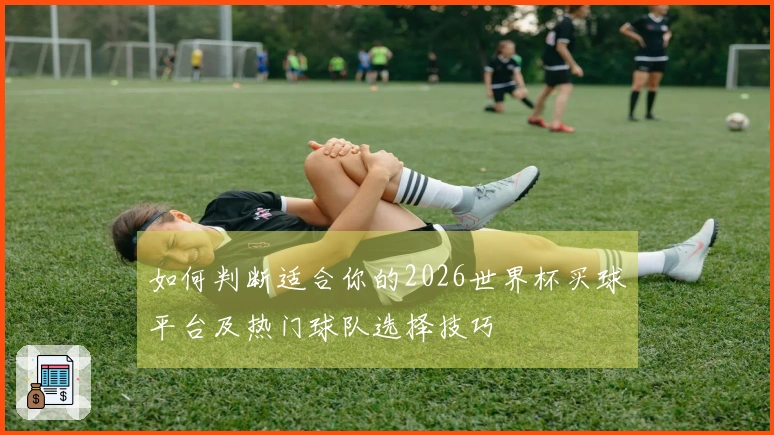 如何判断适合你的2026世界杯买球平台及热门球队选择技巧