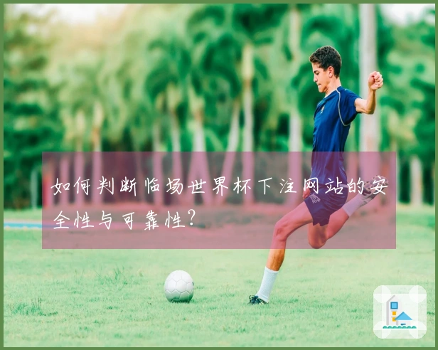 如何判断临场世界杯下注网站的安全性与可靠性？
