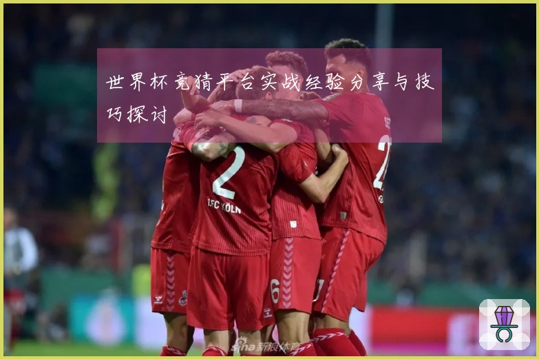 世界杯竞猜平台实战经验分享与技巧探讨