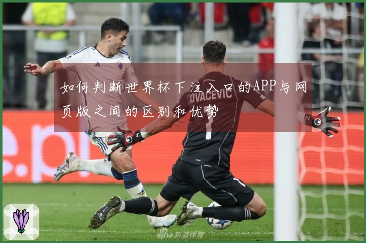 如何判断世界杯下注入口的APP与网页版之间的区别和优势