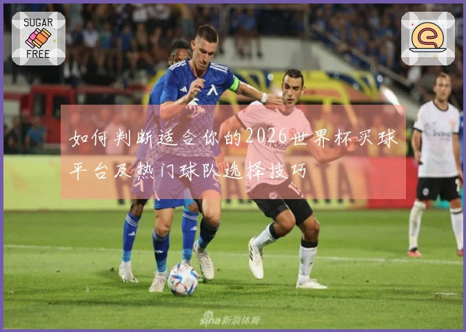 如何判断适合你的2026世界杯买球平台及热门球队选择技巧