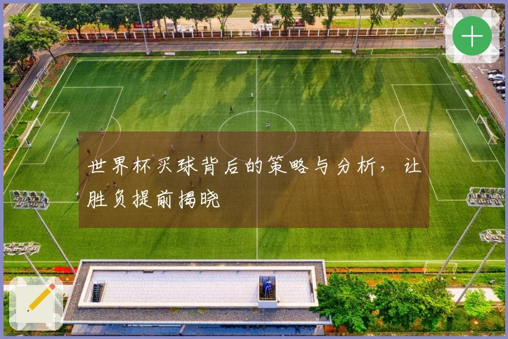 世界杯买球背后的策略与分析，让胜负提前揭晓