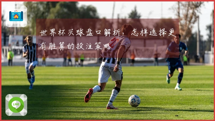 世界杯买球盘口解析,怎样选择更有胜算的投注策略