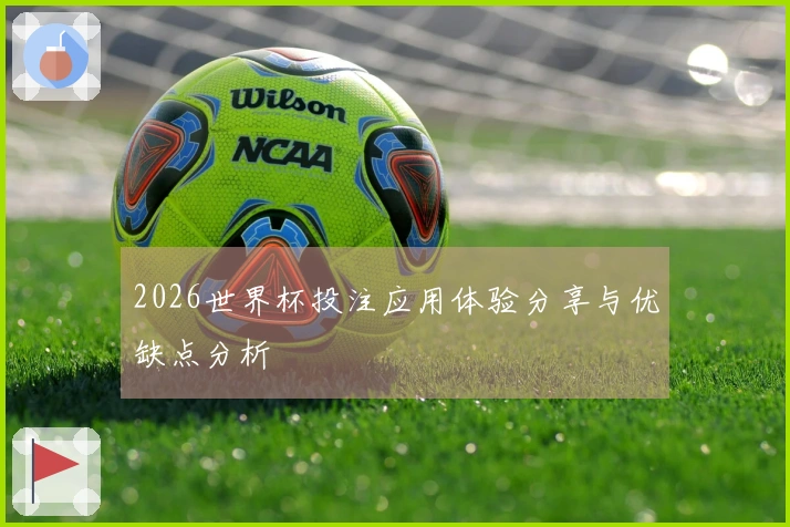 2026世界杯投注应用体验分享与优缺点分析