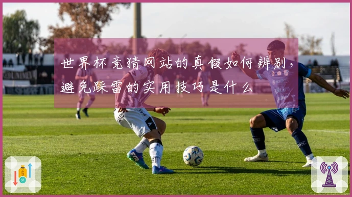 世界杯竞猜网站的真假如何辨别，避免踩雷的实用技巧是什么