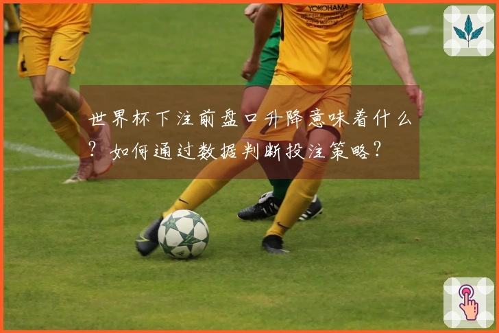 世界杯下注前盘口升降意味着什么？如何通过数据判断投注策略？