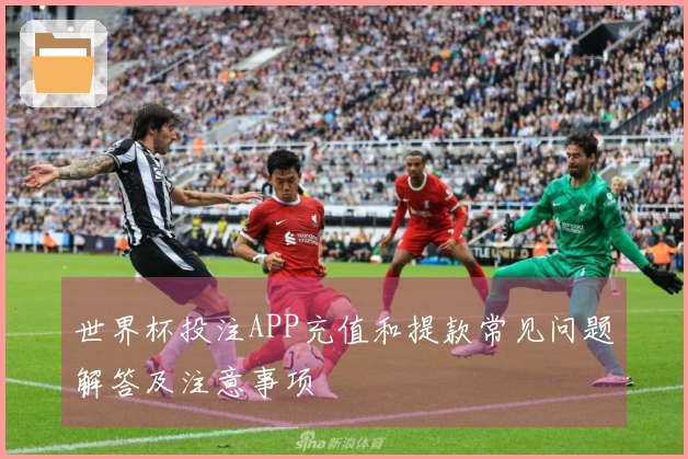 世界杯投注APP充值和提款常见问题解答及注意事项