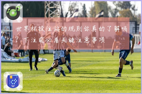 世界杯投注站的规则你真的了解吗？下注前必看关键注意事项