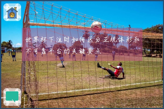 世界杯下注时如何区分正规体彩和不可靠平台的关键要点