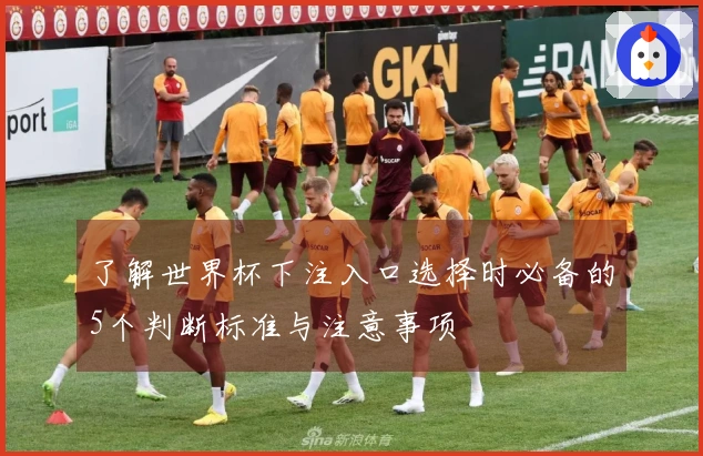了解世界杯下注入口选择时必备的5个判断标准与注意事项