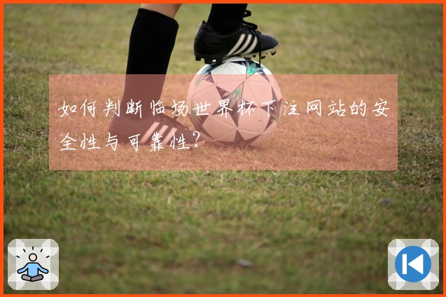 如何判断临场世界杯下注网站的安全性与可靠性？
