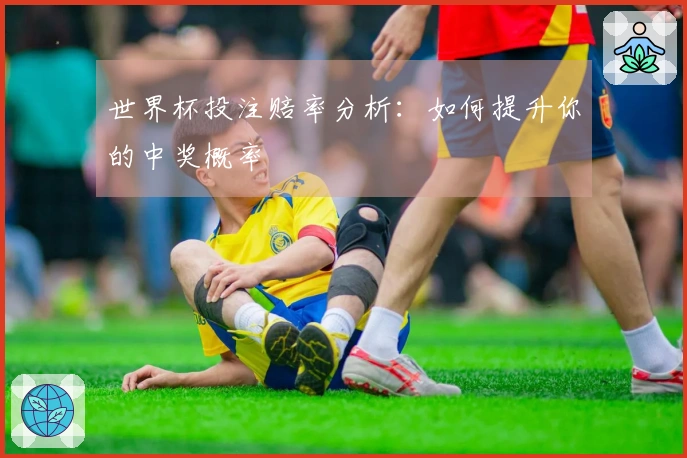 世界杯投注赔率分析：如何提升你的中奖概率