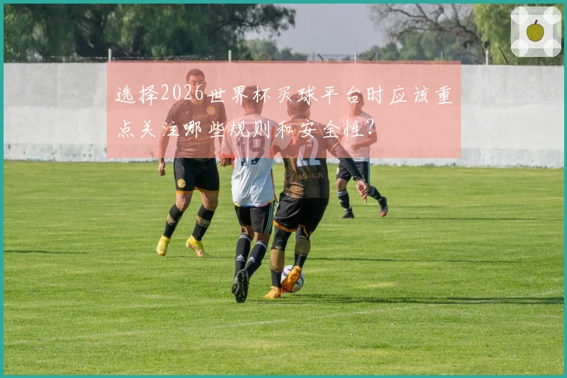 选择2026世界杯买球平台时应该重点关注哪些规则和安全性？