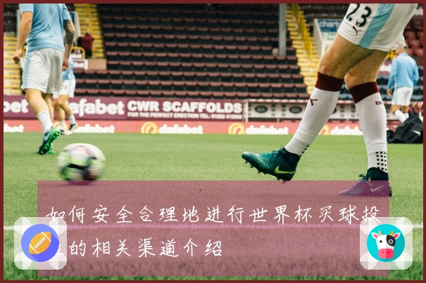 如何安全合理地进行世界杯买球投注的相关渠道介绍